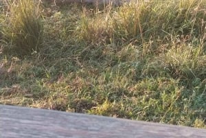 Prywatna wycieczka po parku Krugera i trasie panoramicznej