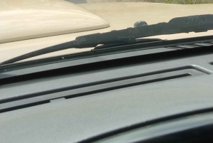 Prywatna wycieczka po parku Krugera i trasie panoramicznej