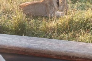 Prywatna wycieczka po parku Krugera i trasie panoramicznej