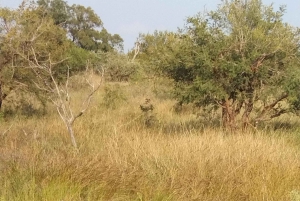 Prywatna wycieczka po parku Krugera i trasie panoramicznej