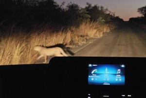 Prywatna wycieczka po parku Krugera i trasie panoramicznej