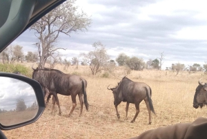 Prywatna wycieczka po parku Krugera i trasie panoramicznej