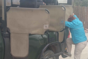 Prywatna wycieczka po parku Krugera i trasie panoramicznej