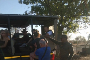 Prywatna wycieczka po parku Krugera i trasie panoramicznej