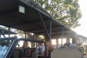 Prywatna wycieczka po parku Krugera i trasie panoramicznej