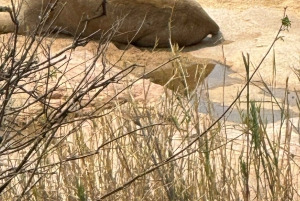 Prywatna wycieczka po parku Krugera i trasie panoramicznej