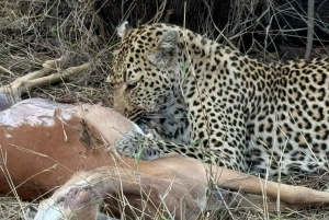 Prywatna wycieczka po parku Krugera i trasie panoramicznej