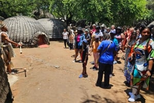 Safári no Lion and Rhino Park / Vila Cultural Lesedi