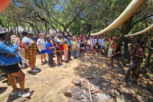 Safári no Lion and Rhino Park / Vila Cultural Lesedi