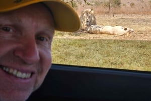 Safari i løve- og næsehornsparken / Lesedi Culture Village