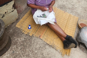 Safari en el Parque del León y el Rinoceronte / Aldea Cultural Lesedi