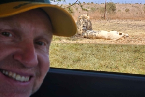 Safari en el Parque del León y el Rinoceronte / Aldea Cultural Lesedi