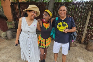 Safari en el Parque del León y el Rinoceronte / Aldea Cultural Lesedi