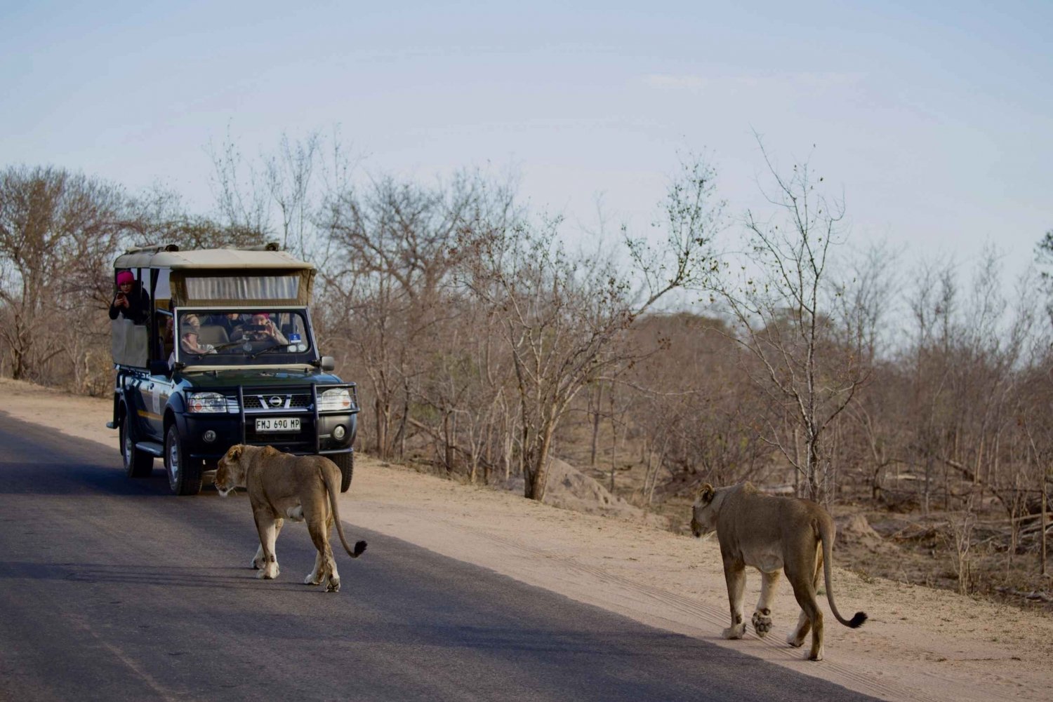 South Africa to Kruger National Park Adventure
