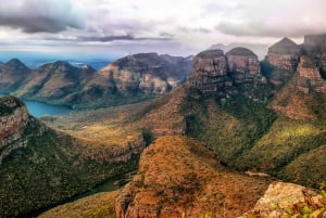 Südafrika-Urlaub: 4,5-tägige Tour durch den Krüger-Park und Johannesburg
