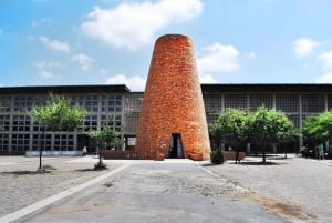 Soweto och Apartheidmuseet: Rundtur med traditionell lunch