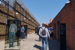 Soweto y el Museo del Apartheid con almuerzo local