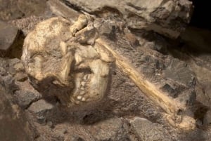 Soweto, mänsklighetens vagga, Lions Park och Lesedi Cultural Vill