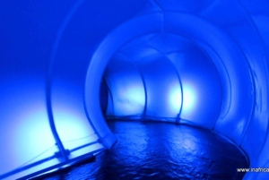 Soweto, berceau de l'humanité, Lions Park et Lesedi Cultural Vill