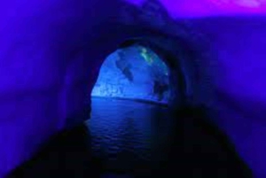 Soweto, berceau de l'humanité, Lions Park et Lesedi Cultural Vill