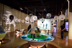 Soweto, berceau de l'humanité, Lions Park et Lesedi Cultural Vill