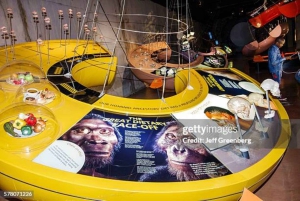 Soweto, berceau de l'humanité, Lions Park et Lesedi Cultural Vill