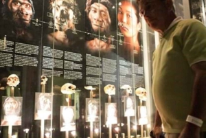 Soweto, berceau de l'humanité, Lions Park et Lesedi Cultural Vill