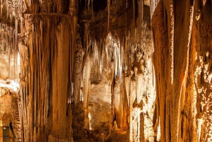 Soweto, berceau de l'humanité, Lions Park et Lesedi Cultural Vill