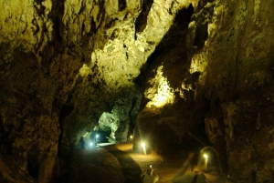 Soweto, berceau de l'humanité, Lions Park et Lesedi Cultural Vill