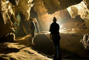 Soweto, berceau de l'humanité, Lions Park et Lesedi Cultural Vill