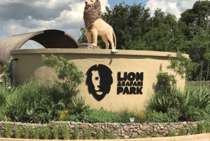 Soweto, berceau de l'humanité, Lions Park et Lesedi Cultural Vill