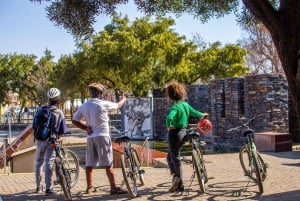 Soweto: Guided Bicycle Tour with Lunch