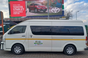 Johannesburg : Visite d'une demi-journée à Soweto avec un guide local