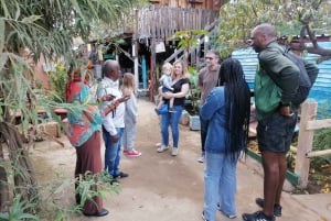 Soweto: Halbtagestour durch das Township