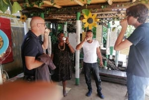 Soweto: Privat halvdagstur med Mandy
