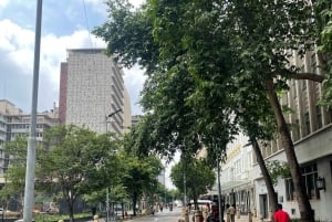 Soweto Soul & Apartheid Echoes Half-Day Tour