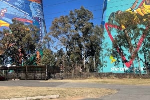 Soweto Soul & Apartheid Echoes – halvdagstur