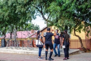 Soweto: Tour guidato a piedi con una guida locale e pranzo