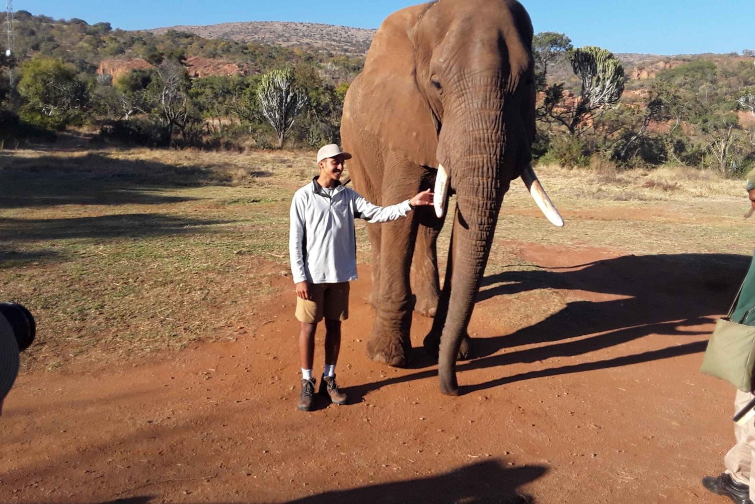Fristaden för elefanter och apor.