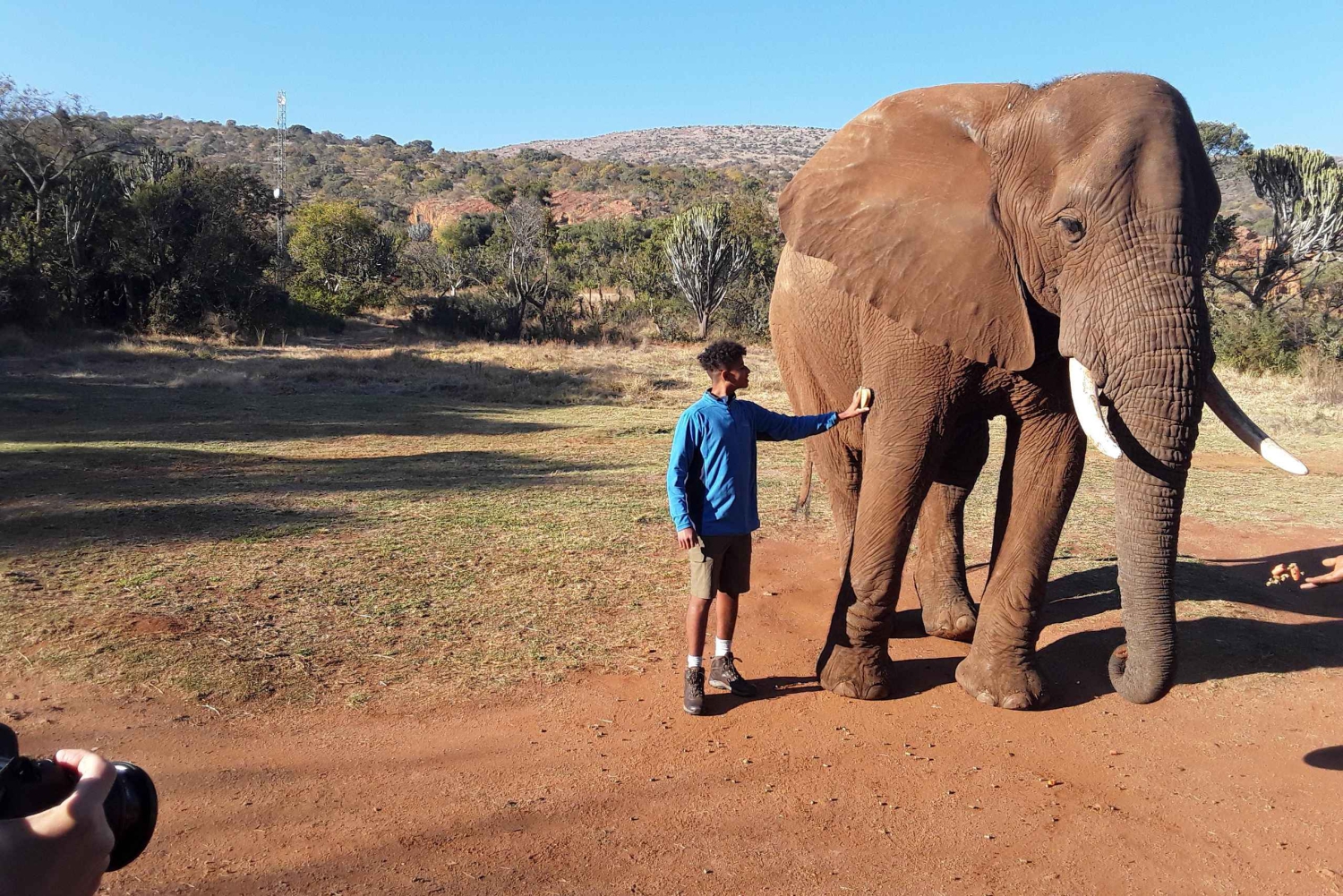 Il Santuario degli elefanti e delle scimmie.