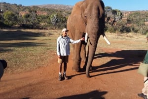 El Santuario de Elefantes y Monos.