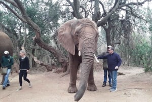 El Santuario de Elefantes y Monos.