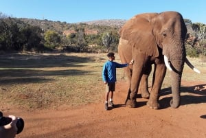 El Santuario de Elefantes y Monos.