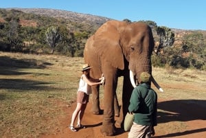 El Santuario de Elefantes y Monos.