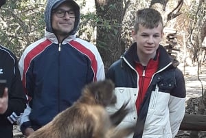 El Santuario de Elefantes y Monos.