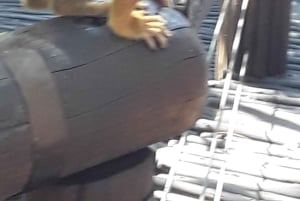 El Santuario de Elefantes y Monos.