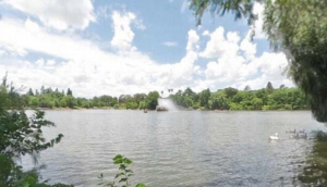 Zoo Lake