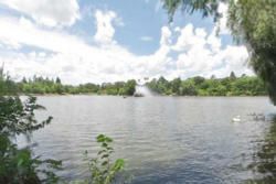 Rosebank And The Parks Suburbs