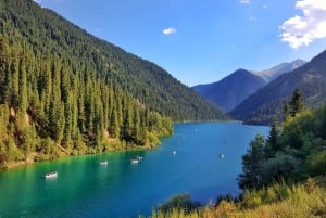 Desde Almaty: Cañón de Charyn Excursión a Kolsay con Acompañamiento