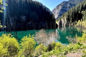 From Almaty: Bartogai, Kolsay & Kaindy lakes, Charyn Canyon